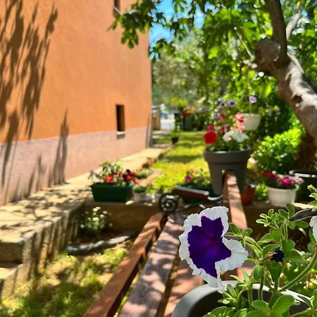 Apartman With Parking Space - Diklo, - 16522