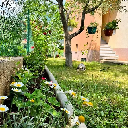 With Parking Space - Diklo, - 16522 Apartman Zadar