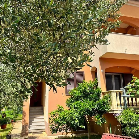 Apartman With Parking Space - Diklo, - 16522 *