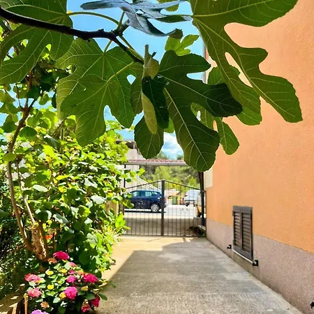 アパート With Parking Space - Diklo, - 16522 ザダル